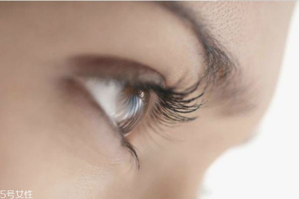 种眼睫毛可以保持多久,美容院种睫毛能保持多久 种眼睫毛可以保持多久,美容院种睫毛能保持多久