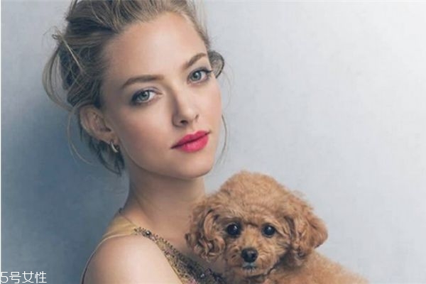 假体隆鼻取出来多久可以重新做,鼻子假体取出最佳时间 假体隆鼻取出来多久可以重新做,鼻子假体取出最佳时间