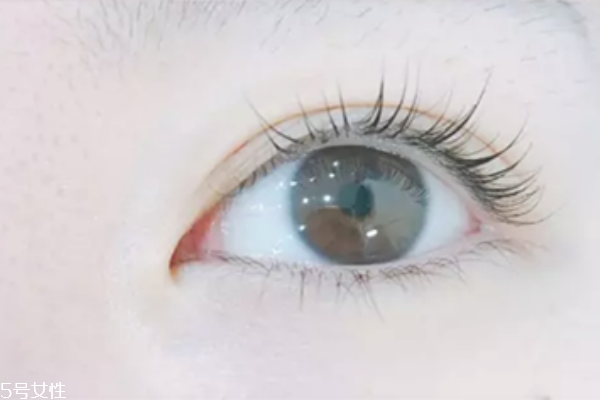 嫁接睫毛还可以刷睫毛膏吗,嫁接睫毛可以涂睫毛膏,眼线液吗 嫁接睫毛还可以刷睫毛膏吗,嫁接睫毛可以涂睫毛膏,眼线液吗