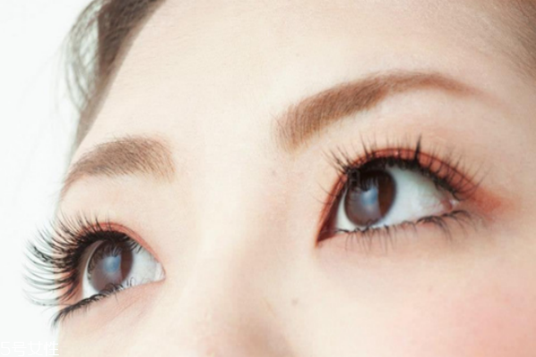 种植睫毛能维持多久,可以种植睫毛吗