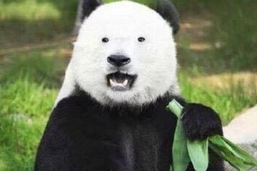 激光去黑眼圈术后,要注意些什么,激光去黑眼圈后注意事项