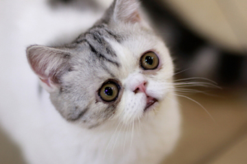 激光去黑眼圈有效吗,皮秒激光去黑眼圈有用吗