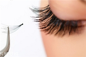 种睫毛会伤害自己的睫毛吗,种睫毛对自己本身的睫毛有伤害吗 种睫毛会伤害自己的睫毛吗,种睫毛对自己本身的睫毛有伤害吗