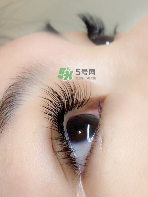 种睫毛能不能化妆,种睫毛能化眼妆吗