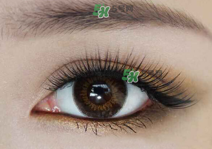 种睫毛掉了自己的睫毛还会长吗,种睫毛自己的睫毛掉了还会长出来吗