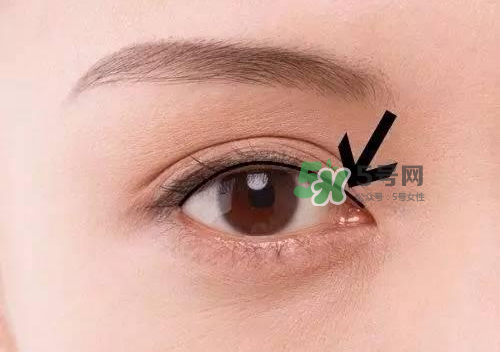 做完美瞳线可以吃鸡蛋吗,纹美瞳线可以吃鸡蛋吗 做完美瞳线可以吃鸡蛋吗,纹美瞳线可以吃鸡蛋吗