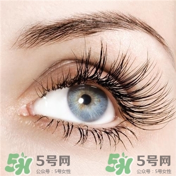 孕睫术价格表,什么是孕睫术