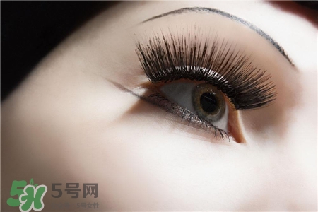 做完倒睫手术会留疤吗,倒睫毛手术完会留疤吗 做完倒睫手术会留疤吗,倒睫毛手术完会留疤吗