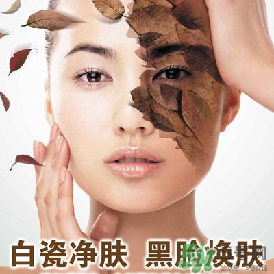 白瓷娃娃是什么?效果好不好?,白瓷娃娃的功效