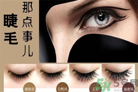 种睫毛还能画眼线吗,种睫毛之后可以画眼影吗