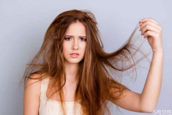 节食减肥会脱发吗,节食会掉头发吗?