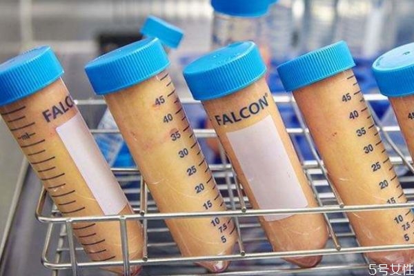 吸脂提臀有风险吗,臀部吸脂有危险吗效果大吗