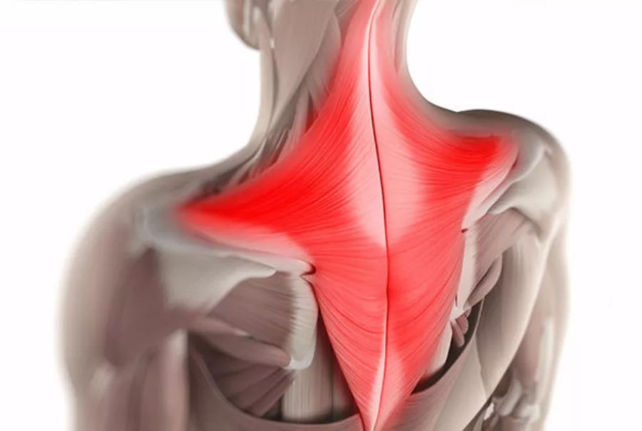 怎样消除斜方肌,斜方肌怎么变小