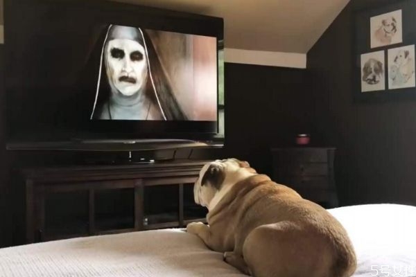 看鬼片是不是有助于减肥,看恐怖片可以减肥是真的吗