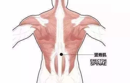 美背是什么意思啊,美背是怎样的 美背是什么意思啊,美背是怎样的