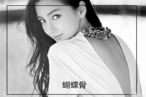 什么叫蝴蝶骨,蝴蝶骨是什么样子的图片