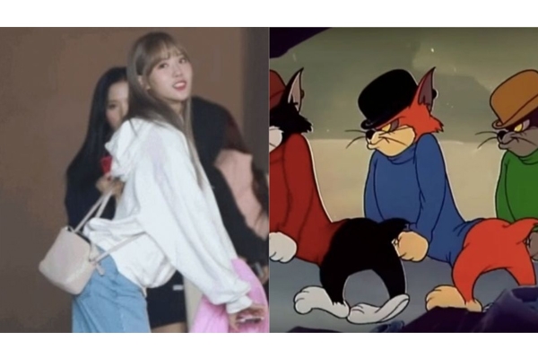 如何瘦下半身最有效,怎样才能有效的瘦下半身