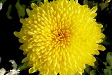 肛周脱毛方法,怎样给肛周脱毛 肛周脱毛方法,怎样给肛周脱毛