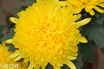 肛门处如何脱毛,有没有做肛周脱毛的