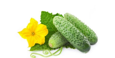 黄瓜什么时候吃能达到减肥效果,吃黄瓜能减肥吗一天吃多少