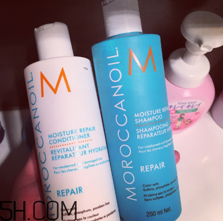 黛丝恩摩洛哥油洗发水怎么样,摩洛哥油哪款洗发水好用