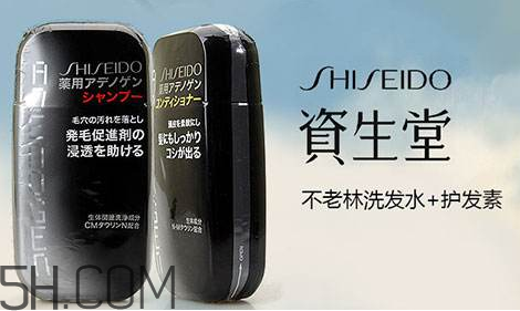 资生堂不老林洗发水成分,资生堂不老林洗后更容易脱发