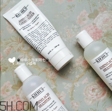 科颜氏氨基酸椰香洗发水,科颜氏椰子洗发水怎么样