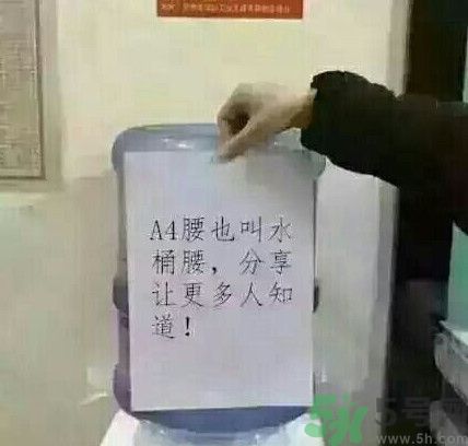 A4腰也叫水桶腰,水桶腰是a4腰