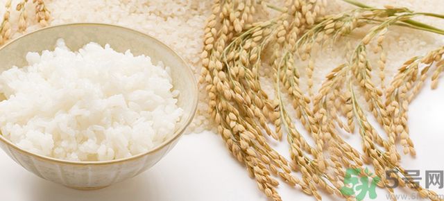 饭团能减肥吗,饭团碳水含量 饭团能减肥吗,饭团碳水含量