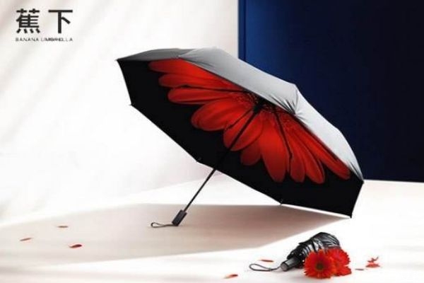 雨伞发霉了怎么清洗,太阳伞用了一年脏了怎样清洗