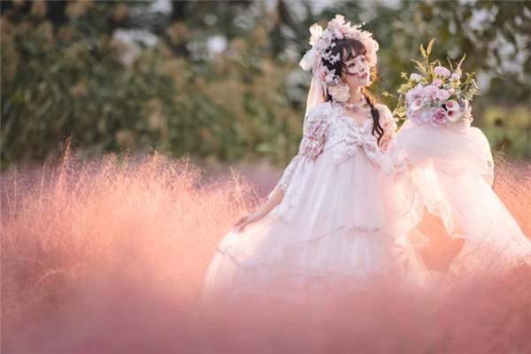 洛丽塔裙子多少钱正品,哪家的洛丽塔裙是正版的