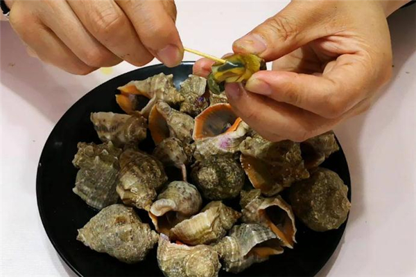 海螺的宜忌人群(海螺的禁忌人群)