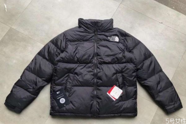 北面1996可以水洗么,北面1996可以水洗么 北面羽绒服