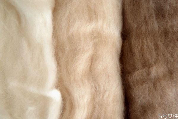 羊驼绒和羊绒哪个好,羊驼绒和羊绒的区别