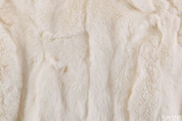 獭兔毛皮草好吗,獭兔毛皮草缺点