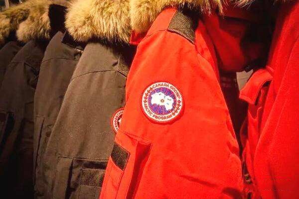 大鹅绒羽绒服品牌,大鹅羽绒服是哪的品牌