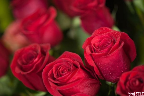 男生告白女生送什么礼物,男生表白需要送礼物吗