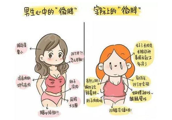 男生说女生微胖是什么意思,男生说的微胖是什么意思