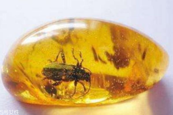 什么是琥珀呢?,琥珀是什么样子的 什么是琥珀呢?,琥珀是什么样子的