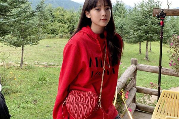 miumiu情人节限定爱心包,miumiu限量版包包