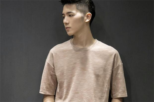 聚酯纤维是什么样的面料,聚酯纤维无纺布