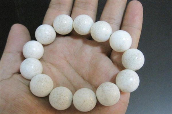 白珊瑚手串价格,珊瑚手串一般多少钱