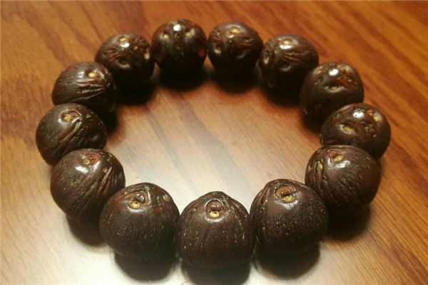 紫金鼠如何看好坏,紫金鼠是菩提吗 紫金鼠如何看好坏,紫金鼠是菩提吗