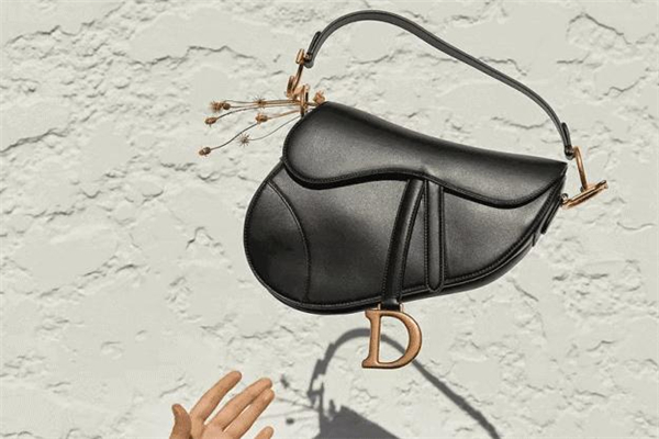 迪奥马鞍包尺寸,迪奥马鞍包尺寸对比
