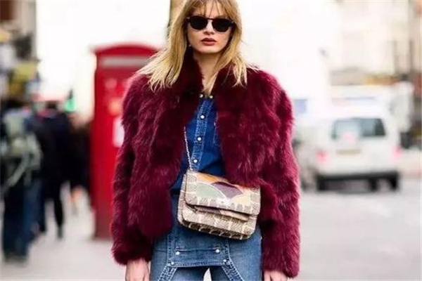 女款皮草外套新款图片,女士皮草外套新款图片及价格