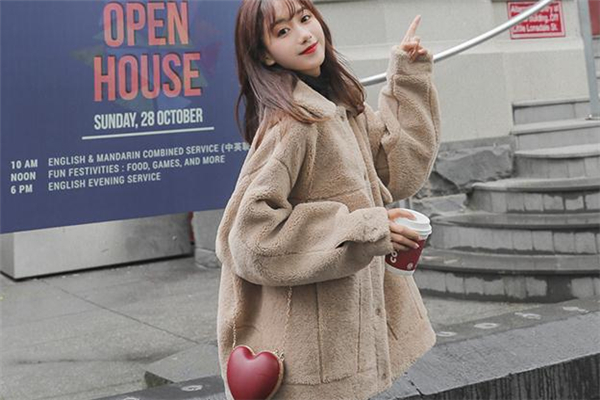 羊羔绒外套什么颜色的好看,羊羔毛外套什么颜色好看?