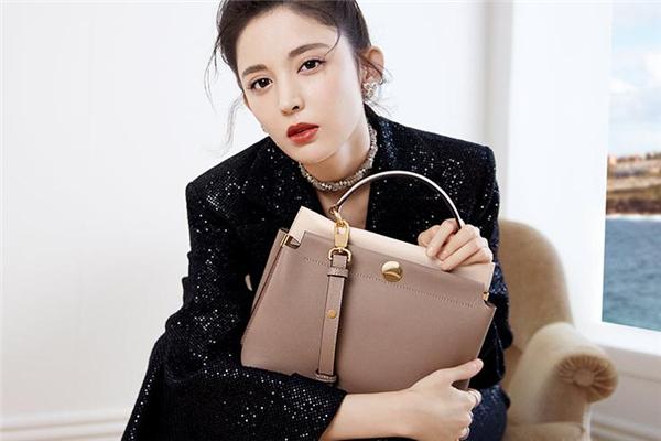 品牌手提包有哪些牌子,男士手拿包品牌排行