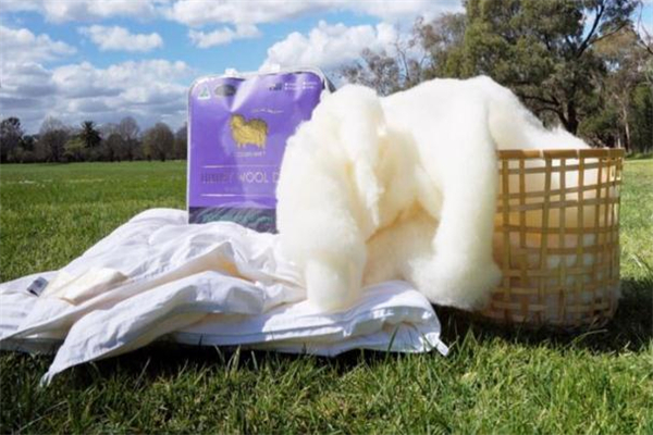 澳洲羊毛被多少钱才是真的吗,澳洲羊毛被价格一般在多少