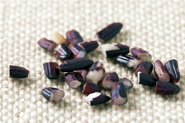 补冬吃什么好? 专家教您补冬正确进补方法,冬季怎么食补