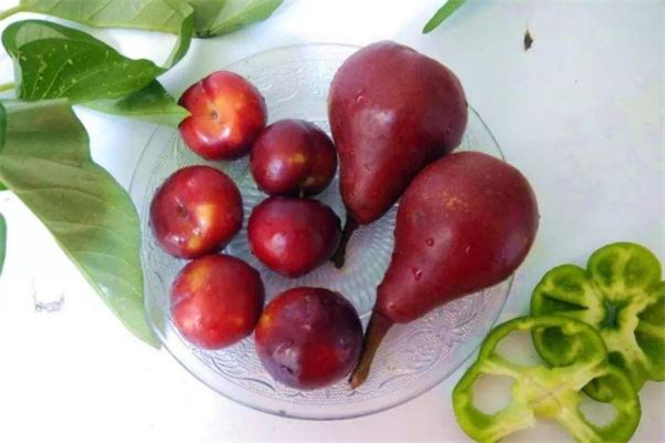 红啤梨怎么吃(红啤梨怎么吃) 红啤梨怎么吃(红啤梨怎么吃)